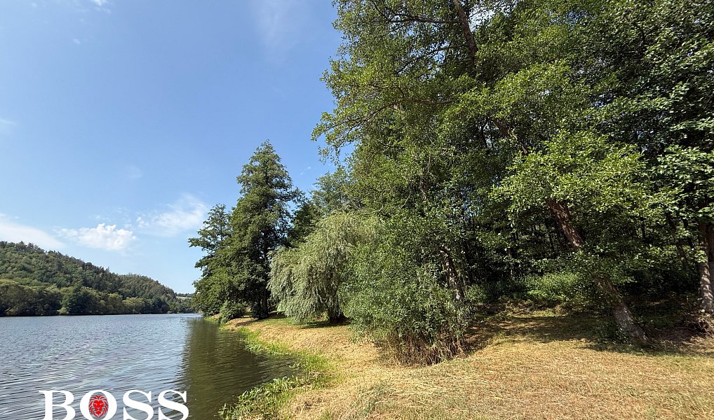 Prodej komerčního pozemku 15 862 m², Slabce – náhled fotky 20