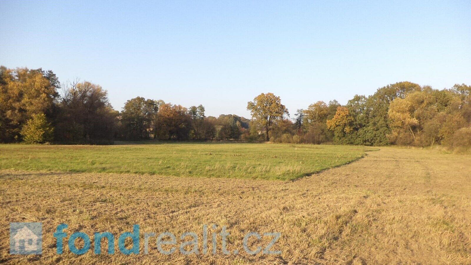 Prodej pozemku 6 981 m² – fotografie 3