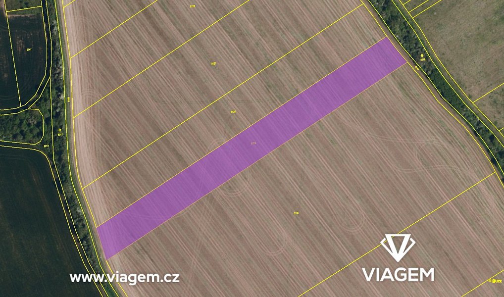 Prodej pole 7 690 m², Kurdějov – náhled fotky 4
