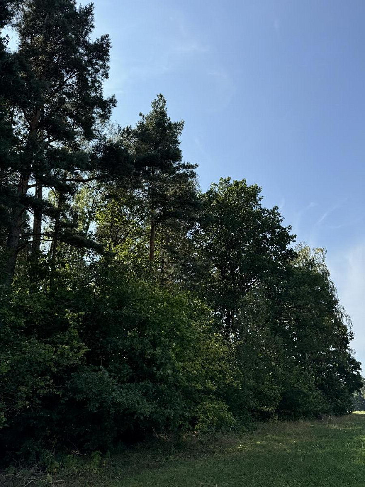 Prodej pozemku 3 093 m² – fotografie 3