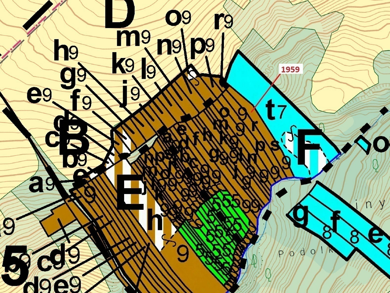 Dražba lesa 1 160 m² – pohled 3