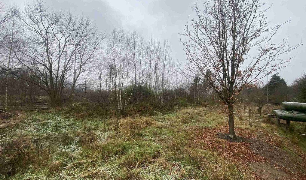 Prodej pozemku 311 m², Zliv – náhled fotky 2