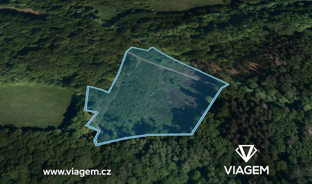 Prodej lesa 5 802 m², Janová – náhled fotky 2