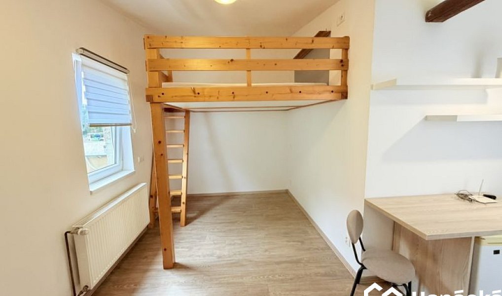 Pronájem bytu 1+kk 34 m², Bystřice pod Hostýnem – náhled fotky 8