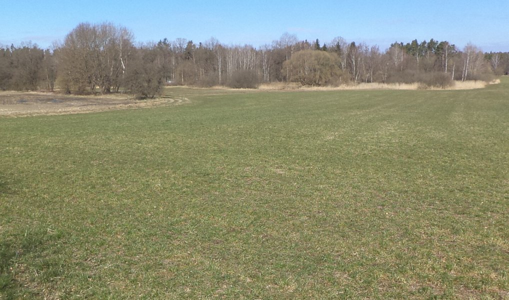 Dražba pozemku, 5200 m², Jindřichův Hradec, Stříbřec