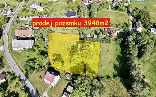 Prodej stavebního pozemku 3 948 m², Rychnov nad Kněžnou