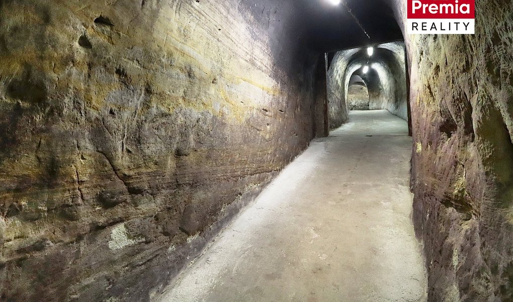 Prodej výrobních prostor 1 500 m², Nový Šaldorf-Sedlešovice – náhled fotky 18
