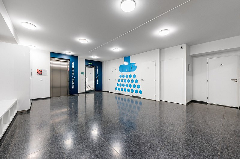 Pronájem kanceláře 197 m² – fotografie 5