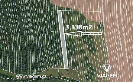 Prodej zahrady 3 138 m², Šumice, okres Uherské Hradiště