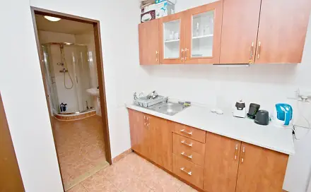 Pronájem bytu 3+1 75 m², Hrnčířská, Brno - Ponava