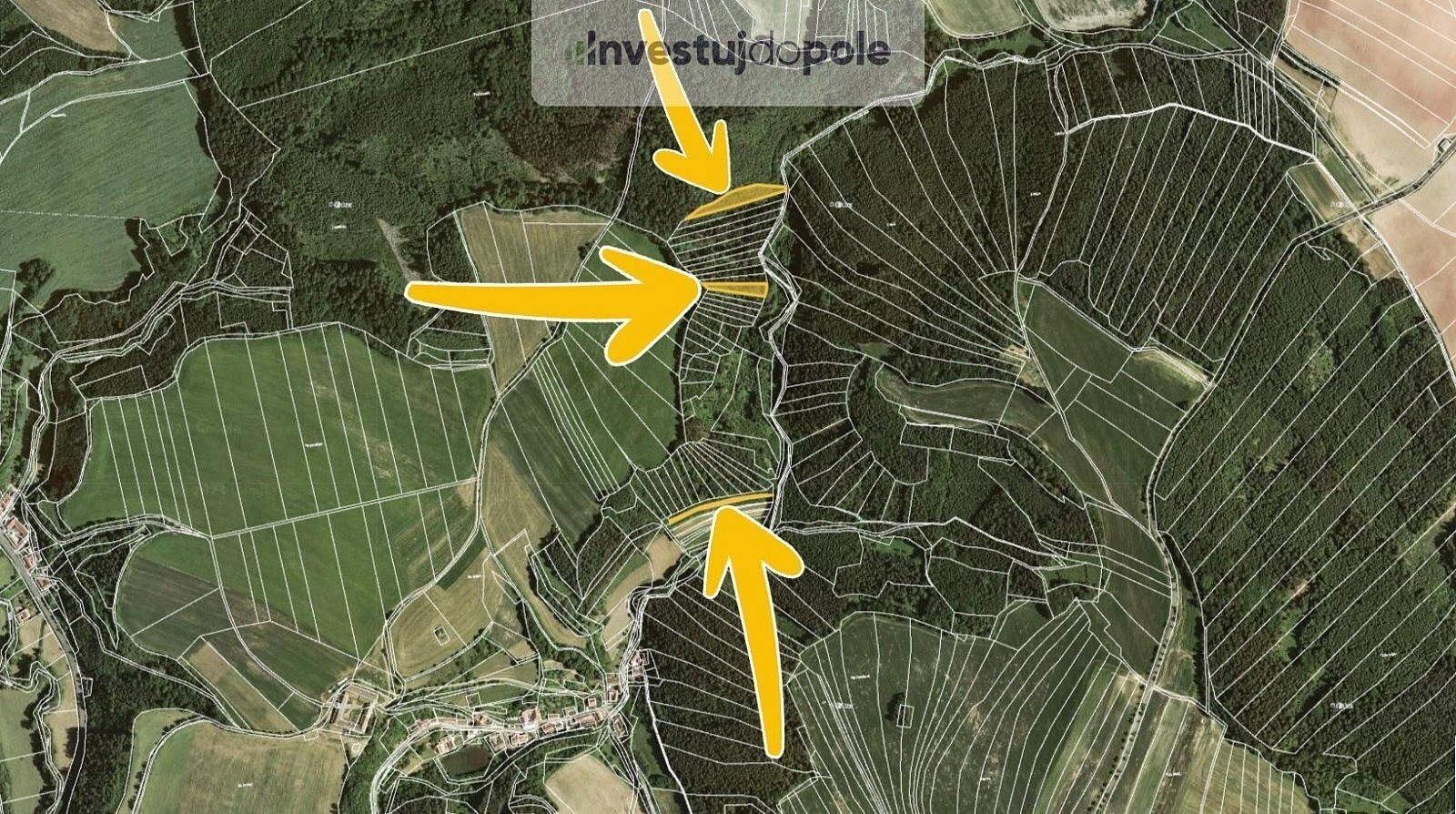 Prodej lesa 4 290 m² – fotografie 2
