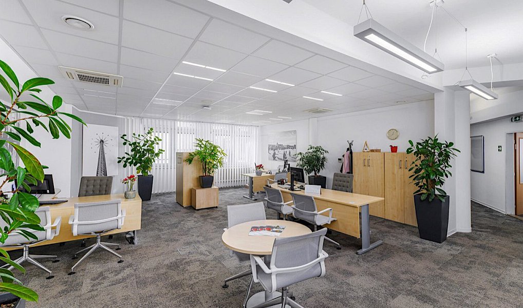 Pronájem obchodních prostor 317 m², Mladá Boleslav – náhled fotky 5