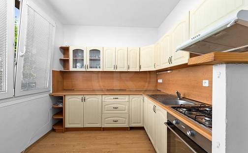 Prodej bytu 2+1 48 m², Plzeňská, České Budějovice - České Budějovice 3