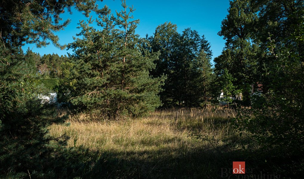Prodej stavebního pozemku 2 135 m², Kadov – náhled fotky 21