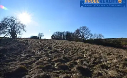 Prodej stavebního pozemku 9 991 m², Mirotice - Lučkovice, okres Písek