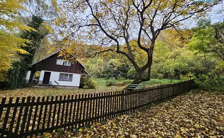 Prodej louky 1 687 m², Hynčina, okres Šumperk