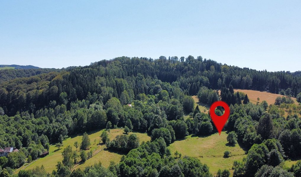 Prodej stavebního pozemku 3 446 m², Olešnice v Orlických horách – náhled fotky 5