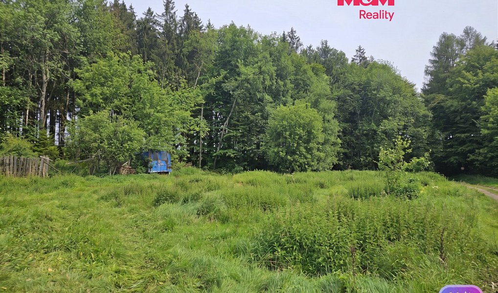 Prodej louky 922 m², Hynčina – fotka 1 z 6