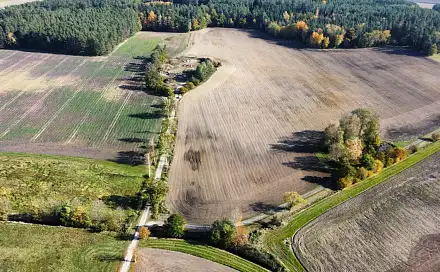Prodej pole 49 992 m², Řípec, okres Tábor
