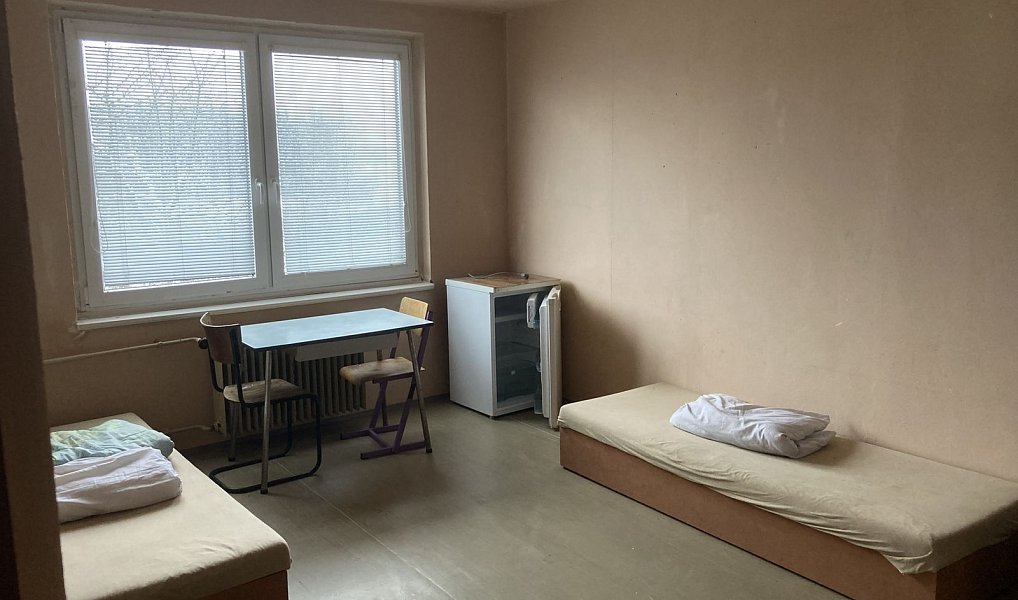 Pronájem pokoje 12 m², Bor – náhled fotky 2