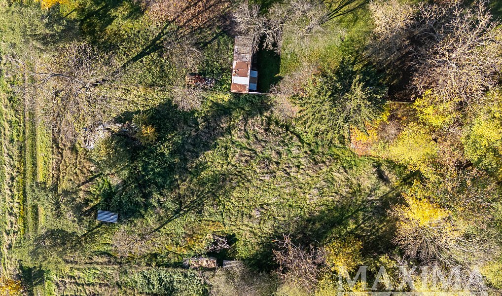 Prodej pozemku 935 m², Dobříč – náhled fotky 6