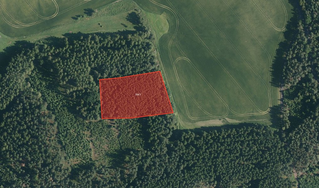 Prodej lesa 7 352 m², Chyše – fotka 1 z 3