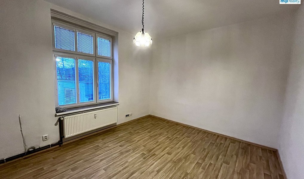 Pronájem bytu 1+1 45 m², Přeštice – náhled fotky 6