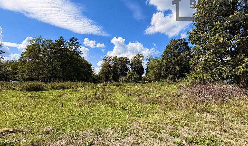 Prodej stavebního pozemku 82 911 m², Ctiboř – náhled fotky 13