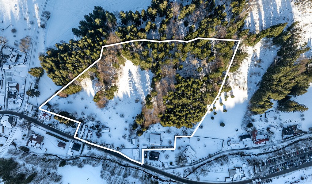 Prodej domu 600 m² s pozemkem 24 773 m², Velké Karlovice – náhled fotky 4