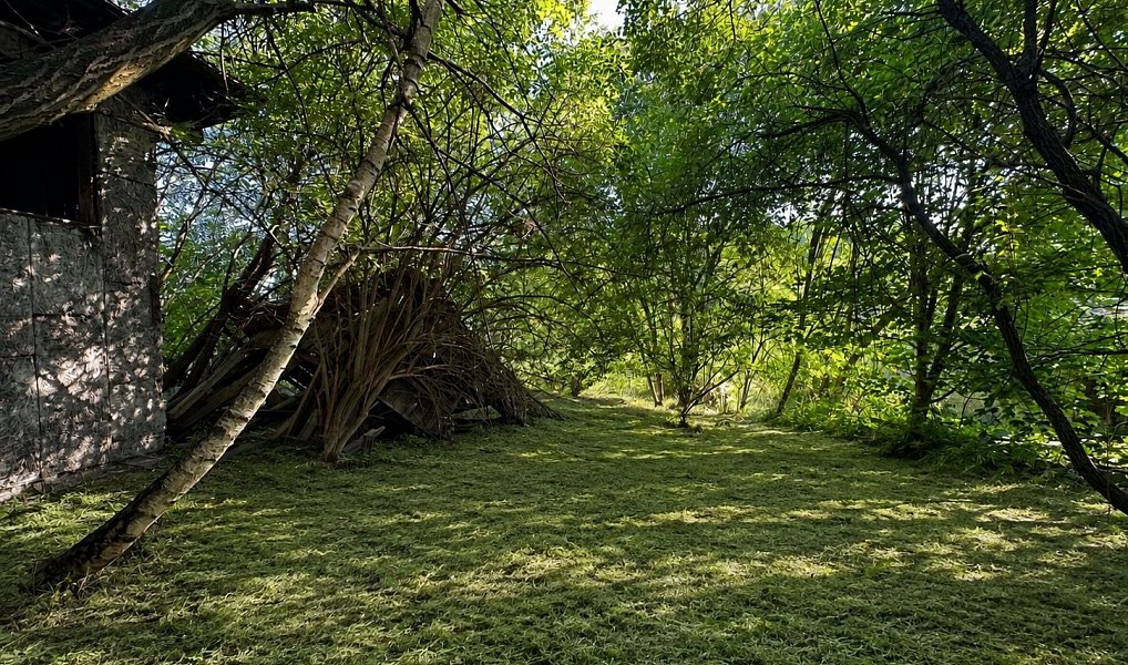 Prodej stavebního pozemku 2 600 m², Mikulovice – náhled fotky 3