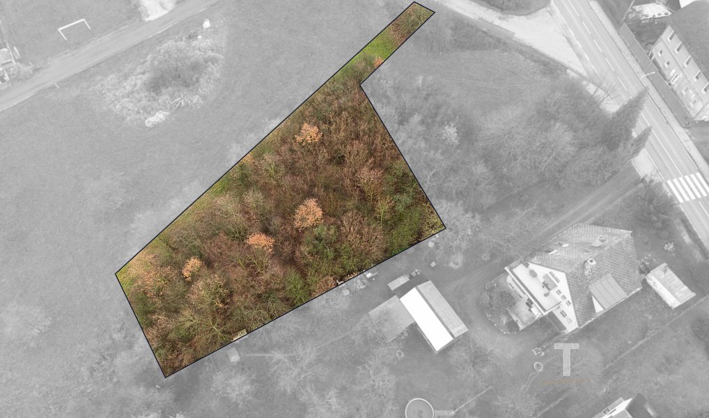 Prodej stavebního pozemku 1 413 m², Potštejn – náhled fotky 6