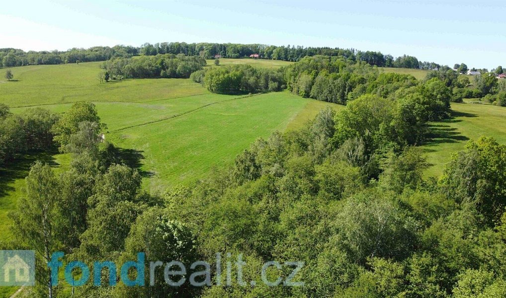 Prodej pole 50 580 m², Staré Křečany – náhled fotky 4