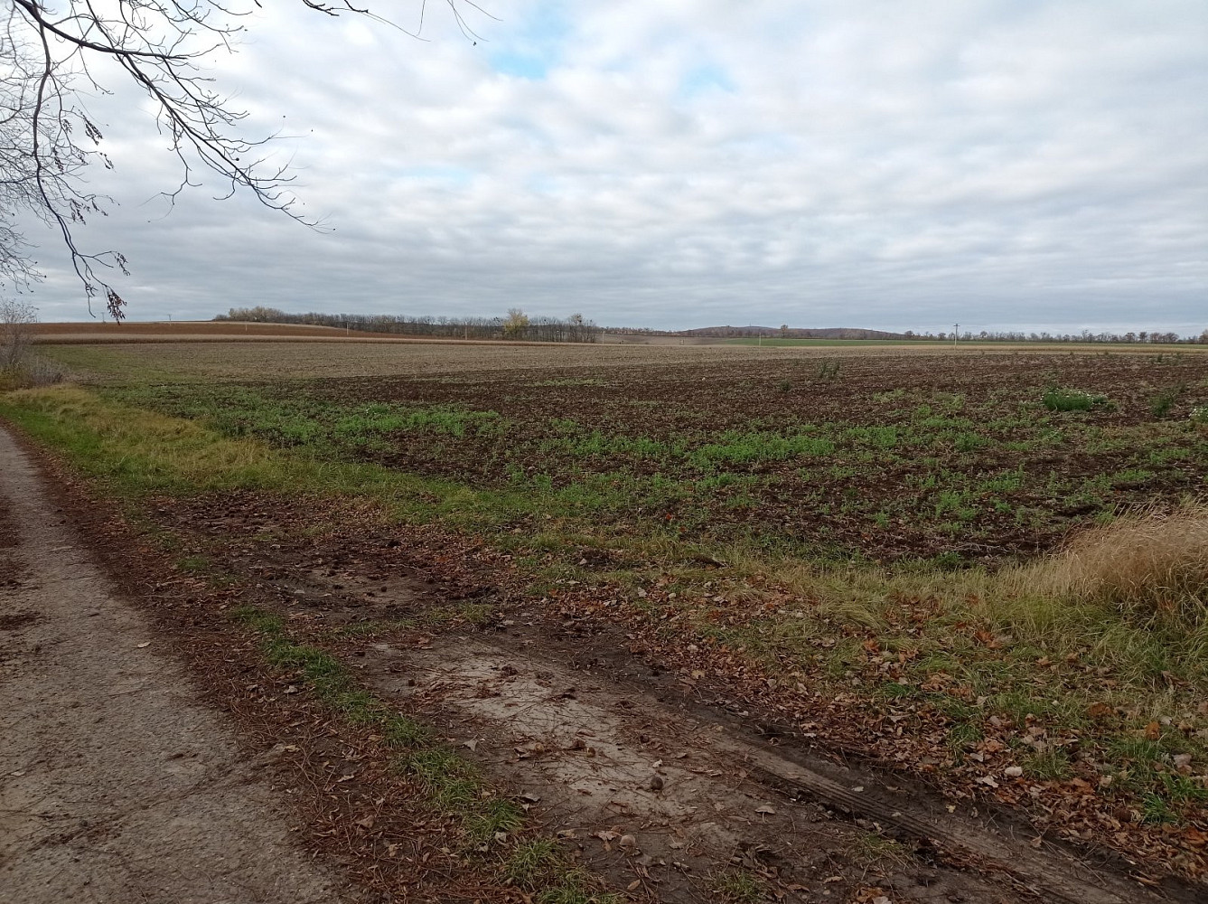 Prodej pozemku 25 617 m²