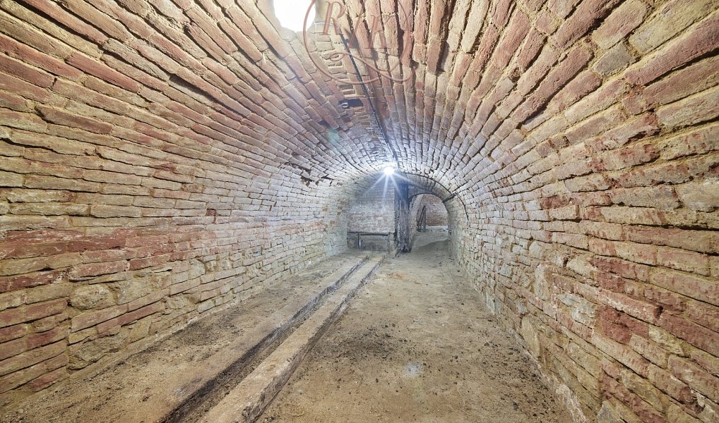 Autentický vinný sklep v srdci jižní Moravy, 153 m2, po kompletní rekonstrukci, obec Přítluky., Přítluky – náhled fotky 8