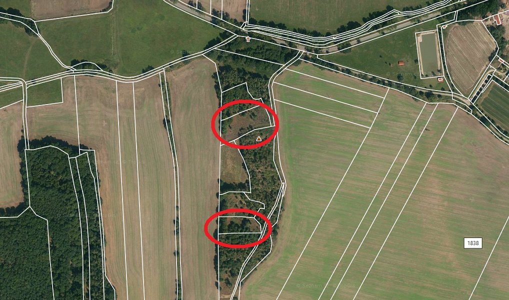 Prodej lesa 5 674 m², Skály – náhled fotky 2