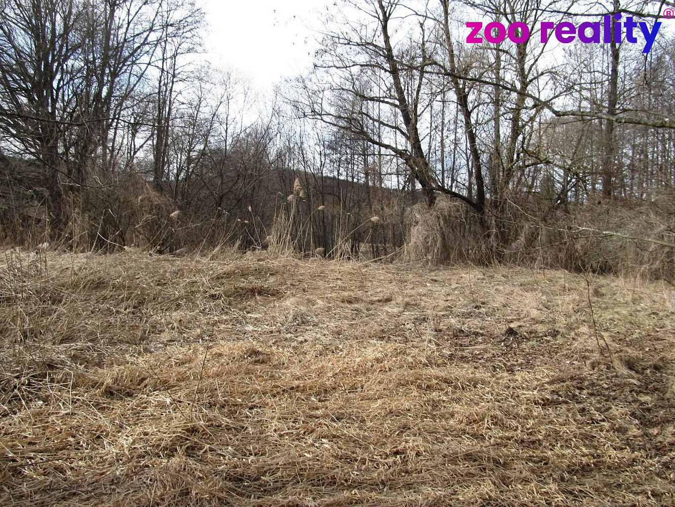 Prodej zahrady 14 555 m² — photo 2