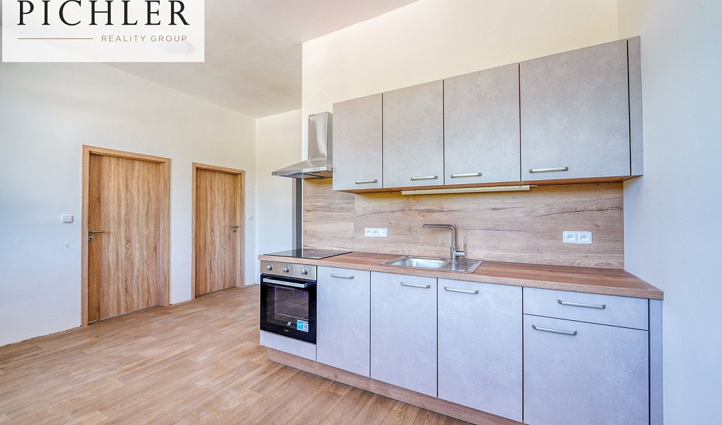 Pronájem bytu 2+kk 54 m², Horní Bříza – náhled fotky 4