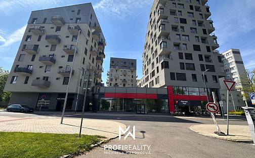 Pronájem obchodních prostor 168 m²