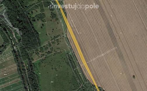 Prodej pole 5 110 m², Velká nad Veličkou, okres Hodonín