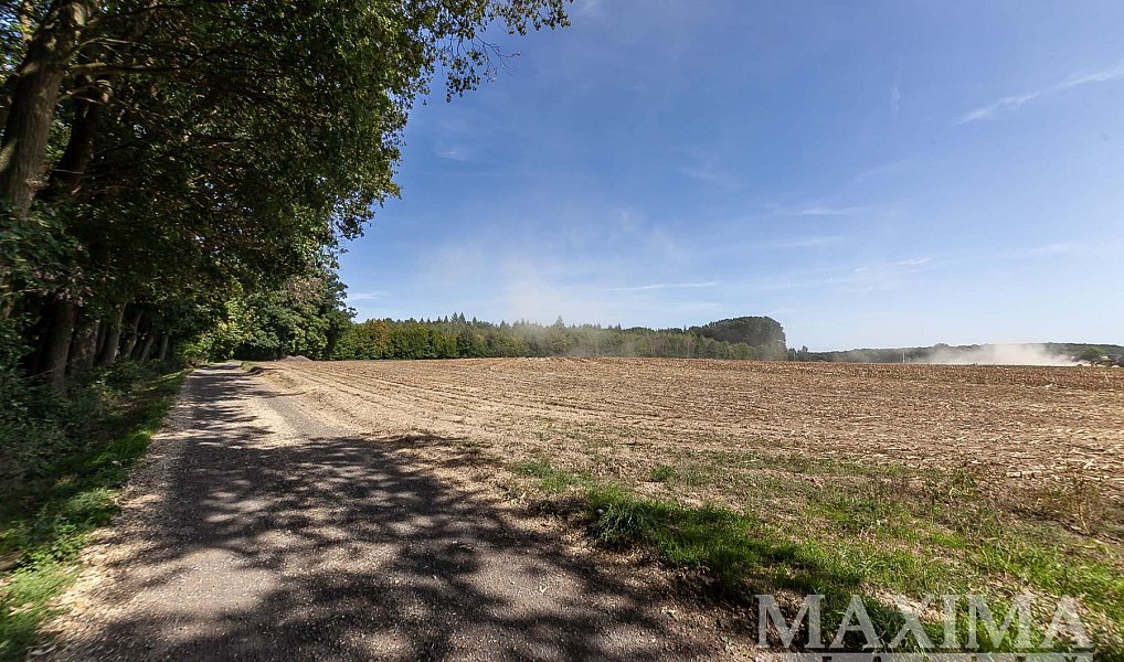 Prodej pole 3 636 m², Lhotky – náhled fotky 13
