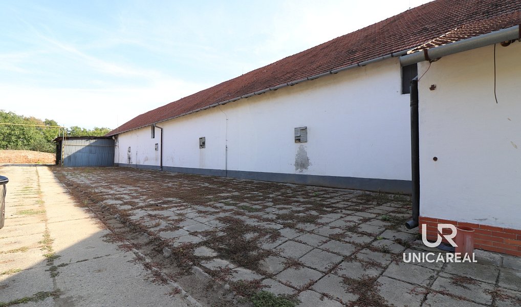 Pronájem skladovacích prostor 1 028 m², Holubice – fotka 1 z 10