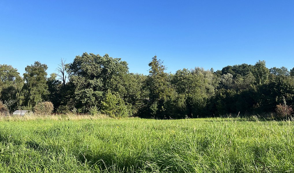 Prodej komerčního pozemku 2 450 m², Třinec – fotka 1 z 6
