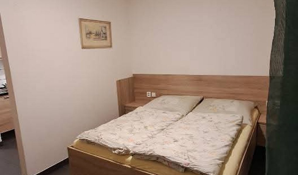 Pronájem bytu 1+kk 40 m², Hranice – náhled fotky 5