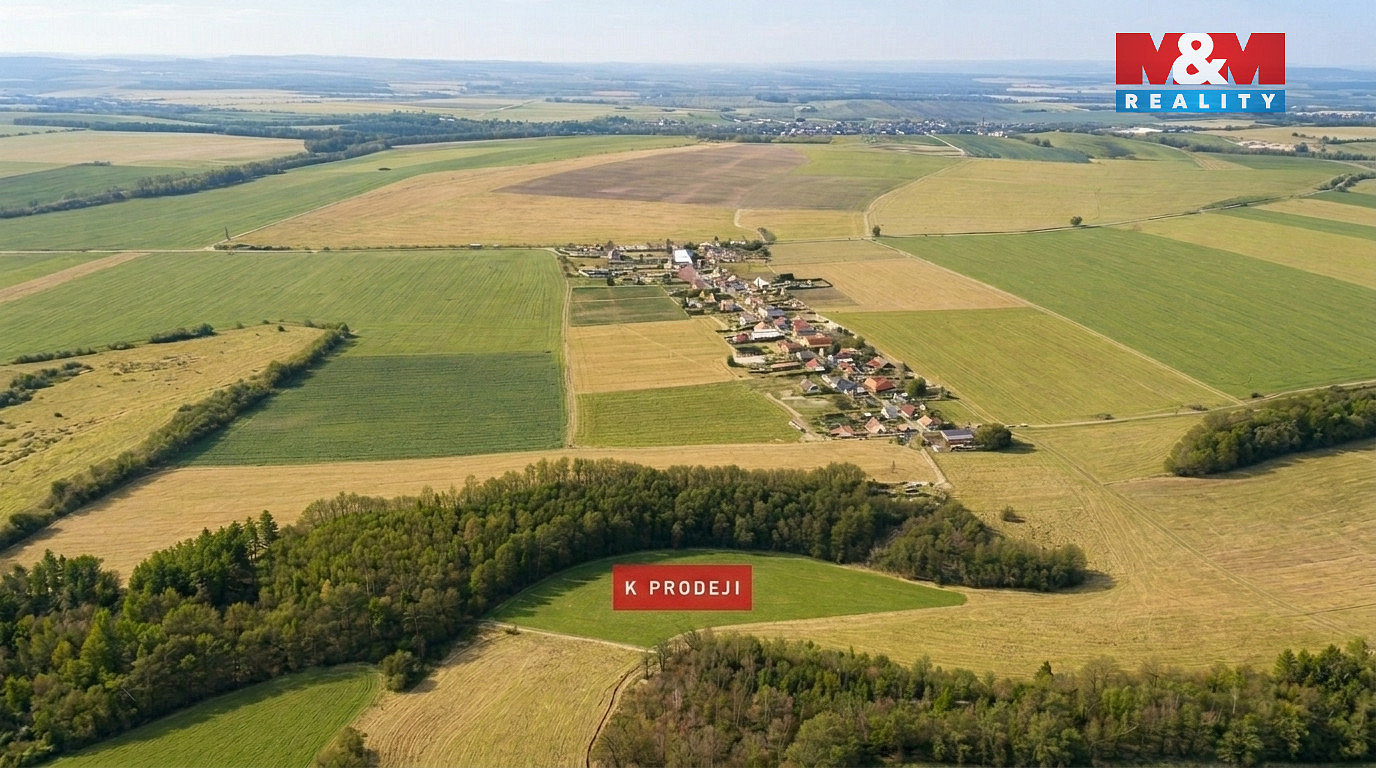 Prodej louky 13 089 m² — photo 3