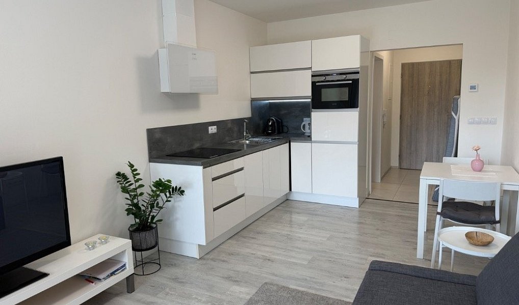 Pronájem bytu 1+kk 25 m², Hodonín – náhled fotky 2
