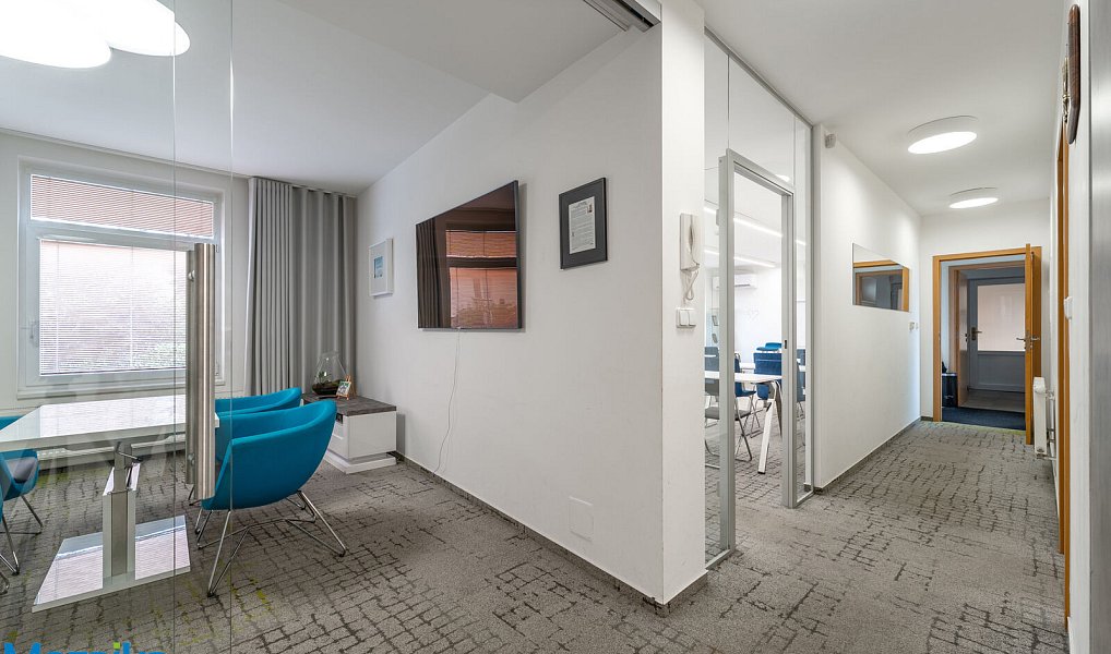 Prodej domu 340 m² s pozemkem 190 m², Brno – náhled fotky 4