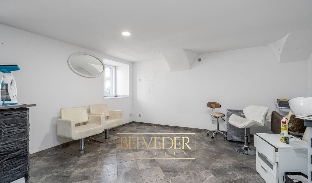Prodej domu 250 m² s pozemkem 1 009 m², Mikulov – náhled fotky 20