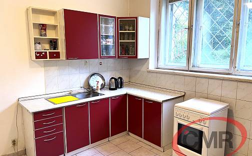 Prodej bytu 1+kk 29 m², Družstevní ochoz, Praha 4 - Nusle
