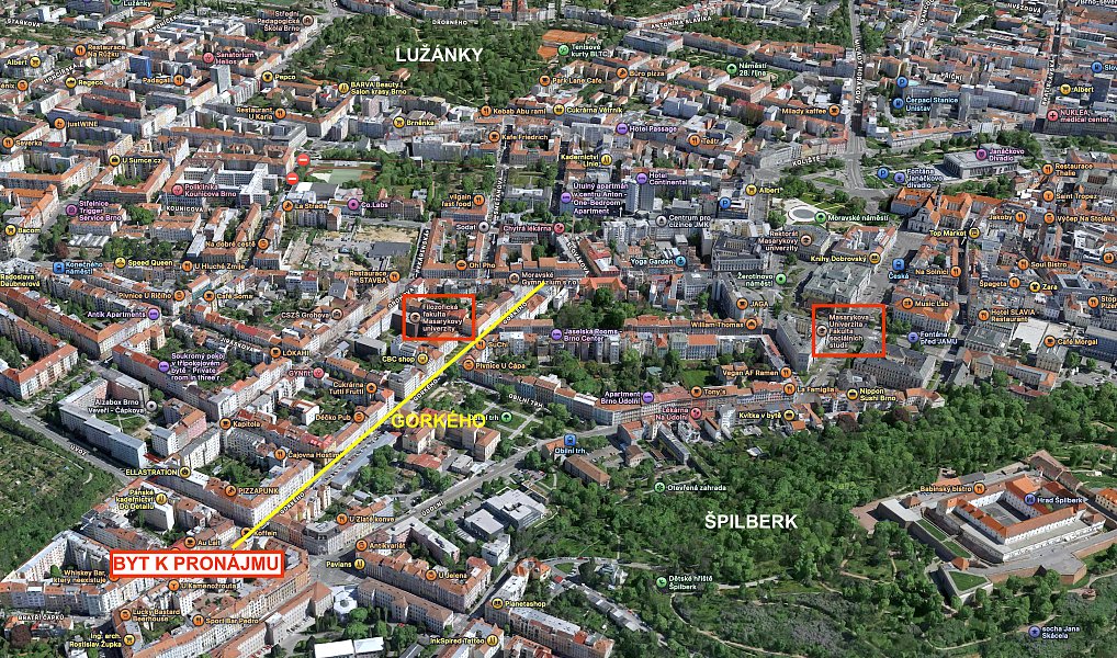 Pronájem bytu 1+1 45 m², Brno – náhled fotky 3