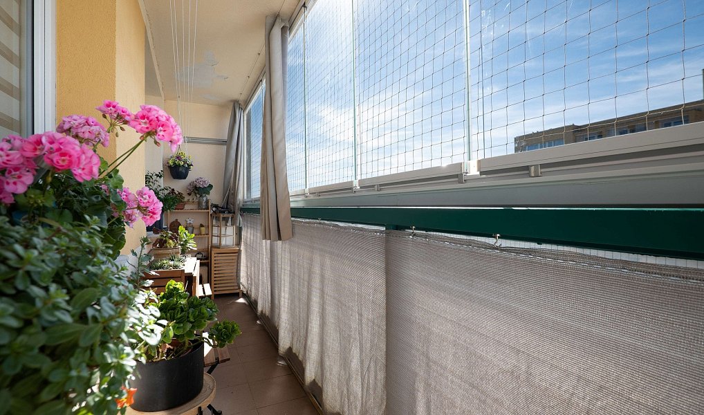 Prodej bytu 3+kk 60 m², Praha – náhled fotky 15